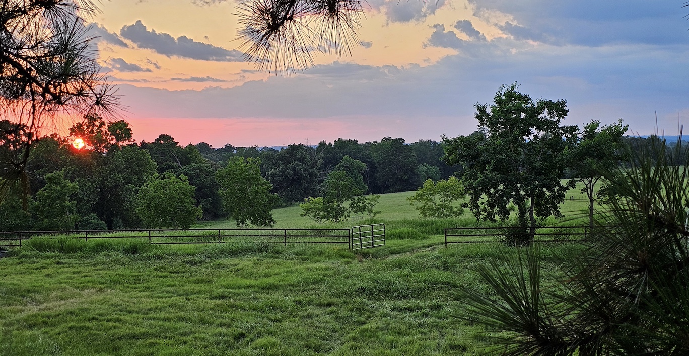 veterans freedom ranch